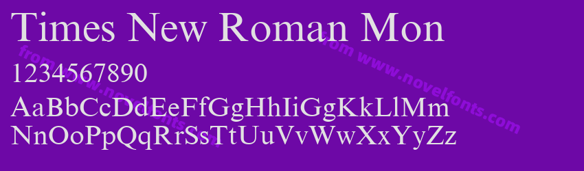 Times New Roman MonPreview