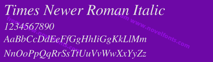 Times Newer Roman ItalicPreview