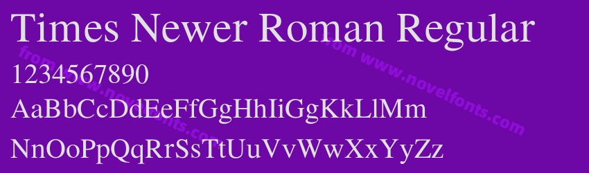 Times Newer Roman RegularPreview