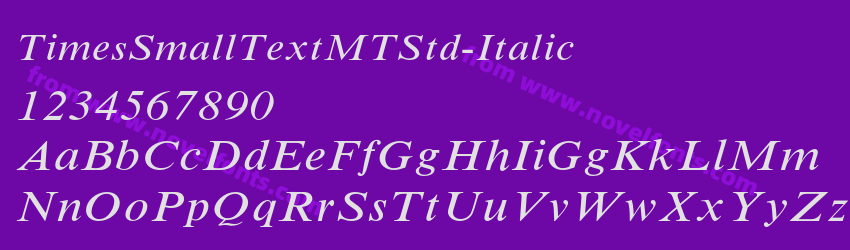 TimesSmallTextMTStd-ItalicPreview