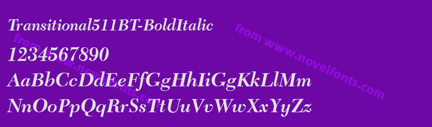 Transitional511BT Bold ItalicPreview