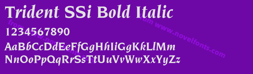 Trident SSi Bold ItalicPreview