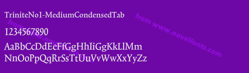 TriniteNo1-MediumCondensedTabPreview