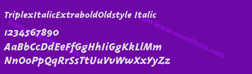 Triplex Italic Extrabold Oldstyle ItalicPreview