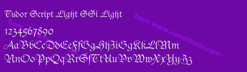 Tudor Script Light SSi LightPreview