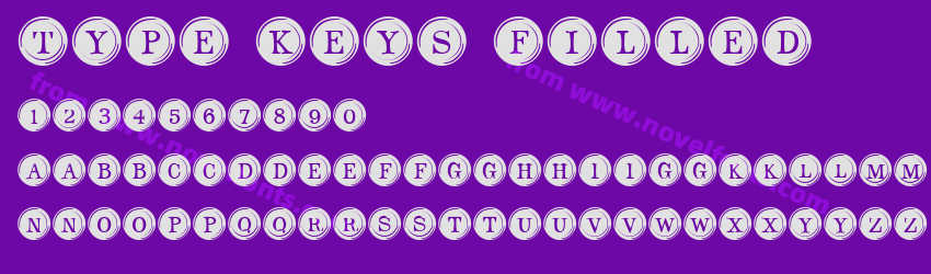 Type Keys FilledPreview