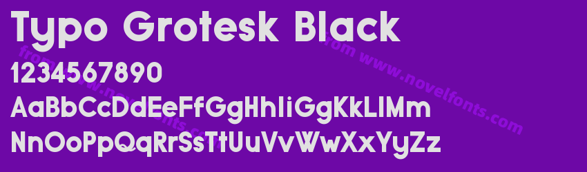 Typo Grotesk BlackPreview