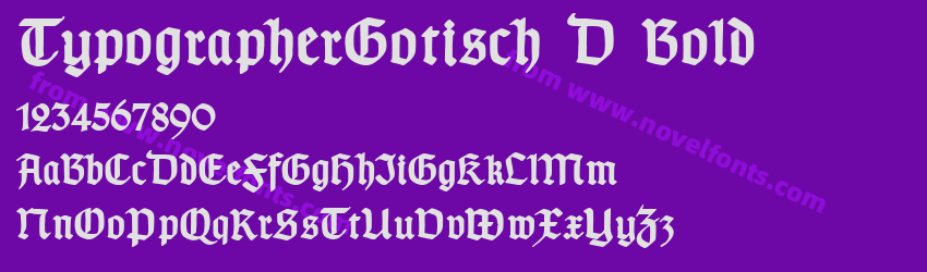 TypographerGotisch D BoldPreview