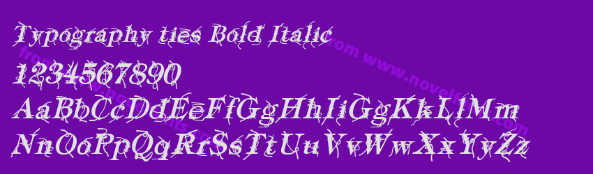 Typography ties Bold ItalicPreview