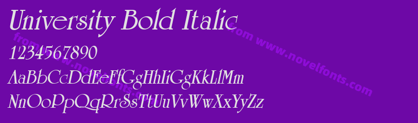 University Bold ItalicPreview