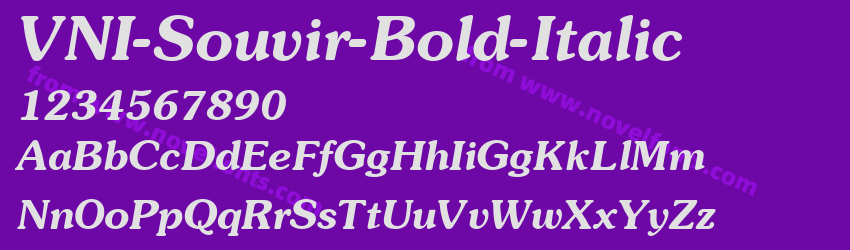 VNI Souvir Bold ItalicPreview