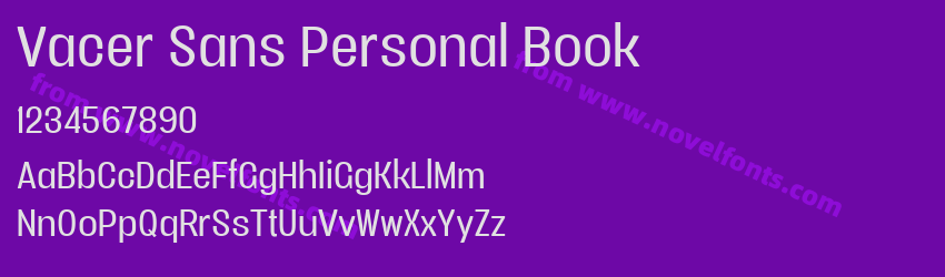 Vacer Sans Personal BookPreview