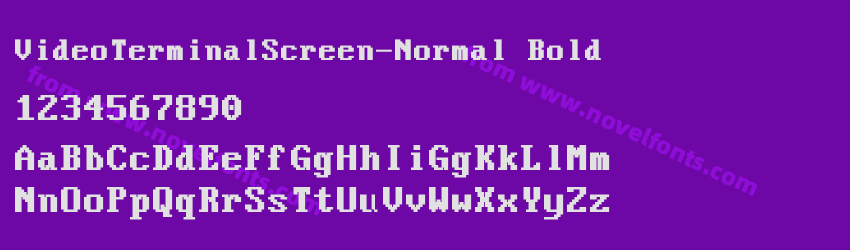 VideoTerminalScreen-Normal BoldPreview