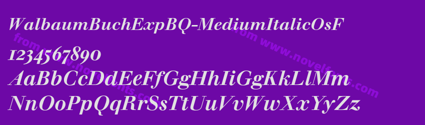 Walbaum Buch ExpBQ Medium Italic OsFPreview