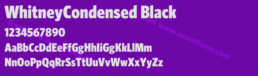 WhitneyCondensed BlackPreview