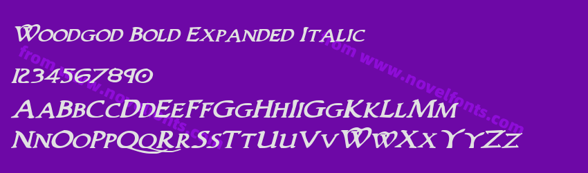 Woodgod Bold Expanded ItalicPreview