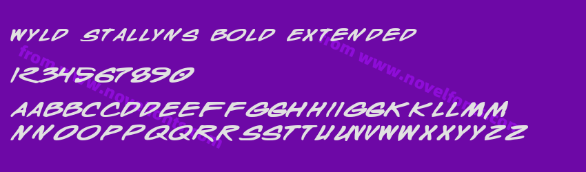 Wyld Stallyns Bold ExtendedPreview