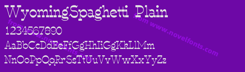 WyomingSpaghetti PlainPreview