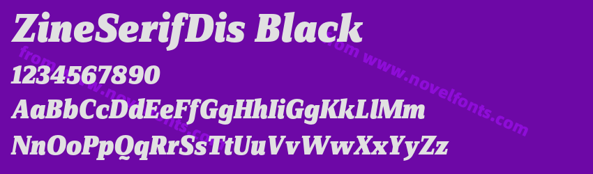 ZineSerifDis BlackPreview