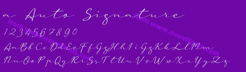 a Auto SignaturePreview