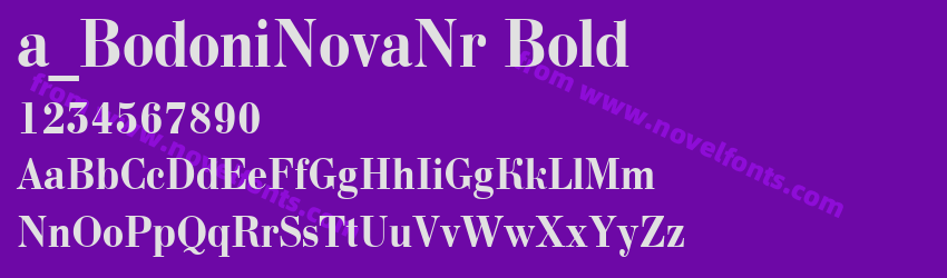 a_BodoniNovaNr BoldPreview