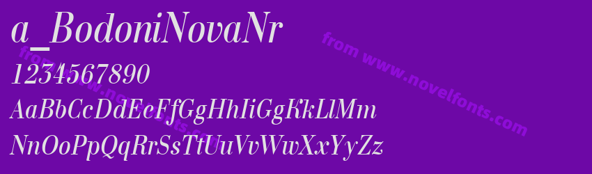 a_ Bodoni Nova Nr ItalicPreview