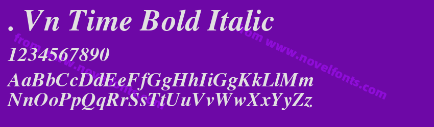 . Vn Time Bold ItalicPreview