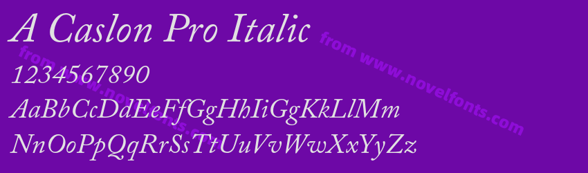 A Caslon Pro ItalicPreview