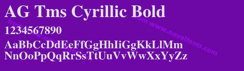 AG Tms Cyrillic BoldPreview