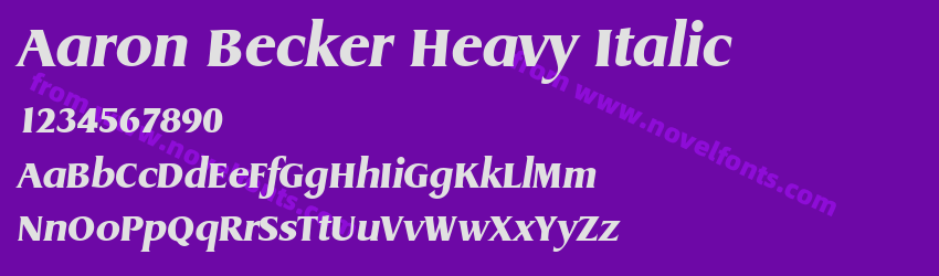 Aaron Becker Heavy ItalicPreview