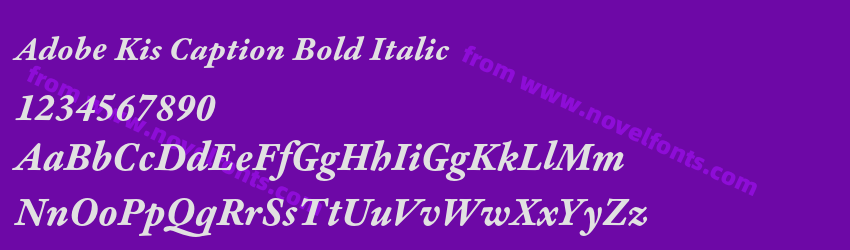 Adobe Kis Caption Bold ItalicPreview