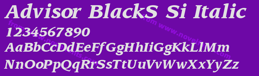 Advisor BlackS Si ItalicPreview