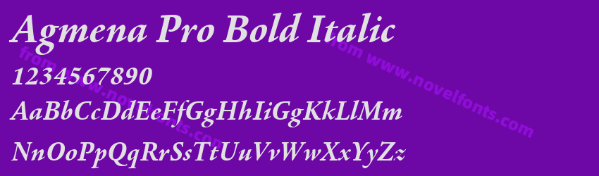 Agmena Pro Bold ItalicPreview