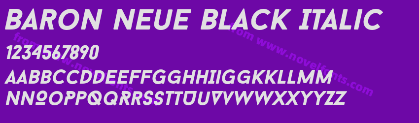 Baron Neue Black ItalicPreview