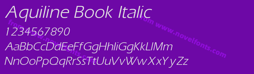 Aquiline Book ItalicPreview