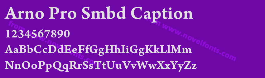 Arno Pro Smbd CaptionPreview