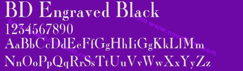 BD Engraved BlackPreview