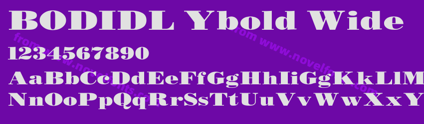 BODIDL Ybold WidePreview