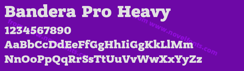 Bandera Pro HeavyPreview