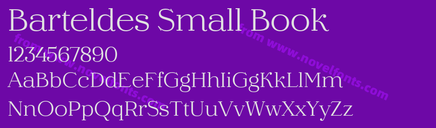 Barteldes Small BookPreview