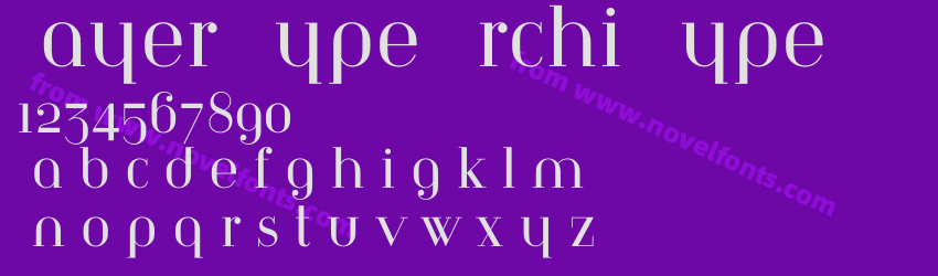 Bayer Type Archi TypePreview