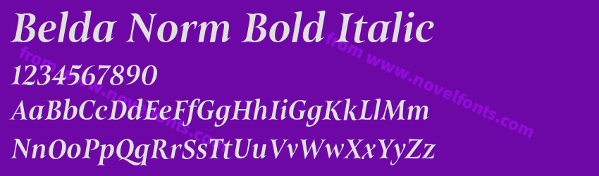 Belda Norm Bold ItalicPreview