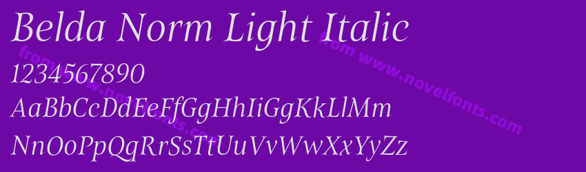 Belda Norm Light ItalicPreview