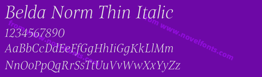 Belda Norm Thin ItalicPreview