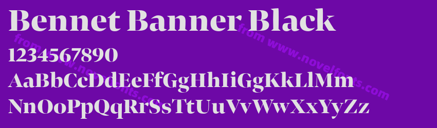 Bennet Banner BlackPreview