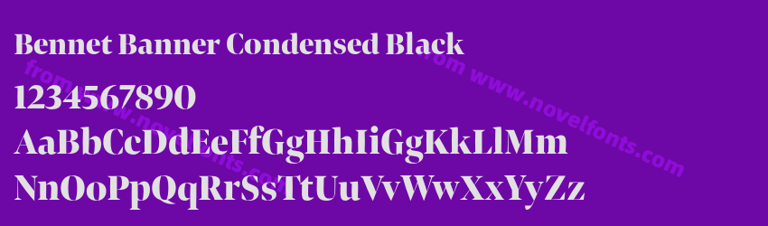 Bennet Banner Condensed BlackPreview