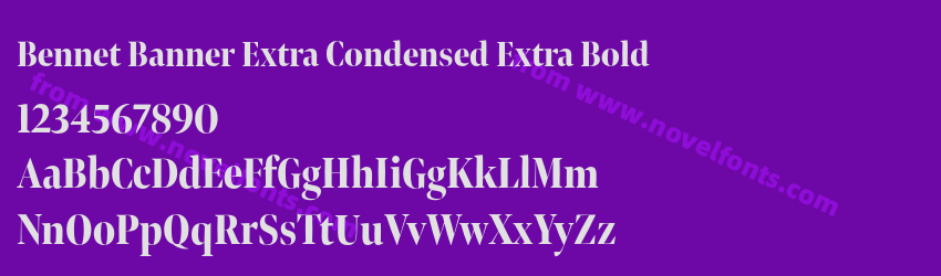 Bennet Banner Extra Condensed Extra BoldPreview