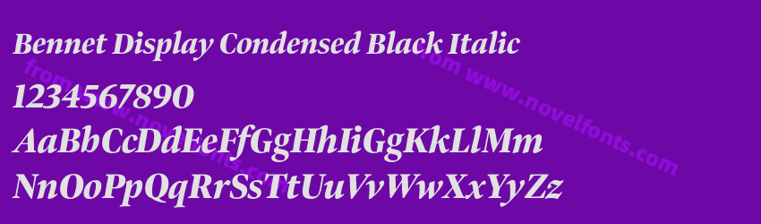 Bennet Display Condensed Black ItalicPreview