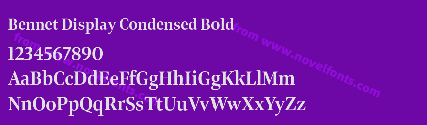 Bennet Display Condensed BoldPreview