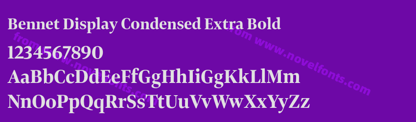 Bennet Display Condensed Extra BoldPreview